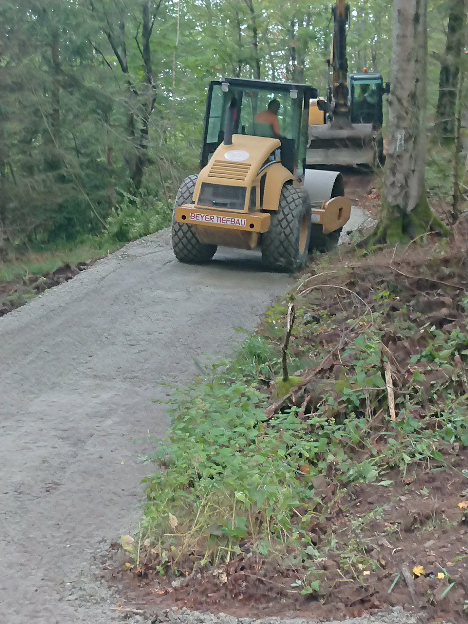 Planierter Forstweg