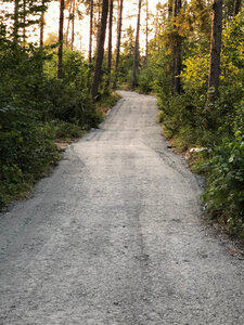 Planierter Weg am Haselhügel (Juli 2019)